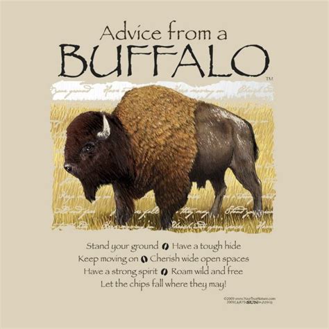 Buffalo Quotes. QuotesGram