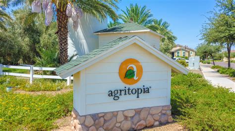 Agritopia Community in Gilbert, AZ | Agritopia Area Homes for Sale