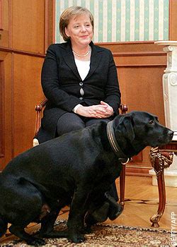 Putin uses dog to intimidate Merkel – Foreign Policy