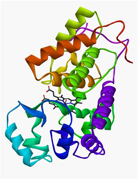 File - Hrp-xray - Hrp Enzyme, HD Png Download - kindpng