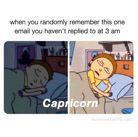 35+ CAPRICORN Personality Traits - Funny MEMES Edition ♑︎?