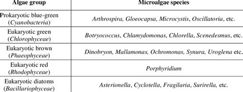 Classification of microalgae and related species (Packer, 2009) | Download Scientific Diagram