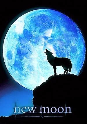 Best Of Wolves Howling At The Moon Images images