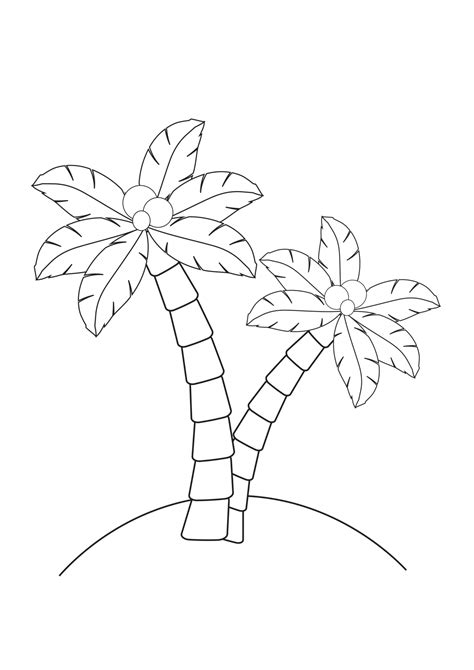 Palm trees - Coloring pages