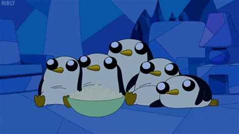 Gunter The Penguin GIFs - Find & Share on GIPHY