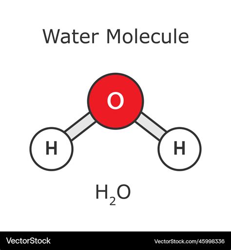 Water molecule structure atomic h2o Royalty Free Vector