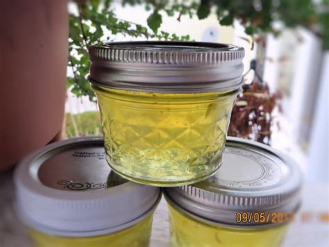 Corn Cob Jelly Recipe - Food.com