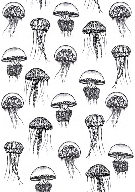 jellyfish | Jellyfish art, Drawings, Jellyfish drawing