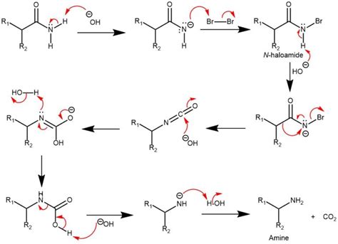 HOFMANN REACTION || HOFMANN DEGRADATION || HOFMANN REARRANGEMENT – My chemistry blog