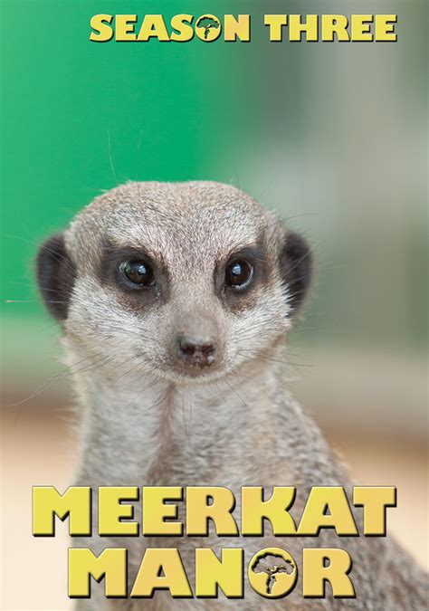 Meerkat Manor | TV fanart | fanart.tv