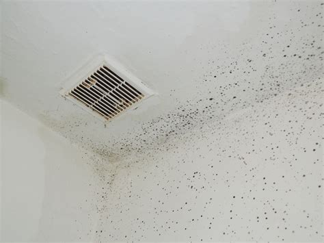 Indoor Mold - Symptoms of Mold Exposure | A-Z Air Duct, Phoenix, AZ