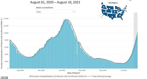 Eight states make up HALF of all COVID-19 hospitalizations in the US and surge of infections ...