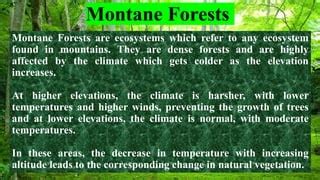 montane forests class 9 geo | PPT