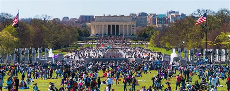 Must-See Washington, DC Events & Festivals | Washington DC