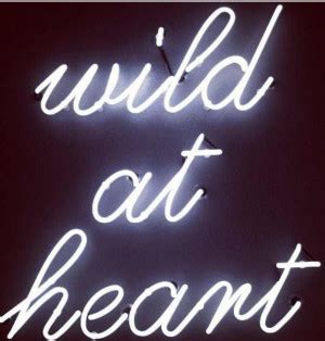 Wild At Heart Quotes. QuotesGram