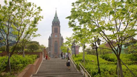 Myeongdong Cathedral Pictures: View Photos & Images of Myeongdong Cathedral