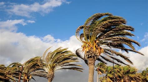 Santa Ana Winds Forecast Throughout Southland This Weekend | Edison ...