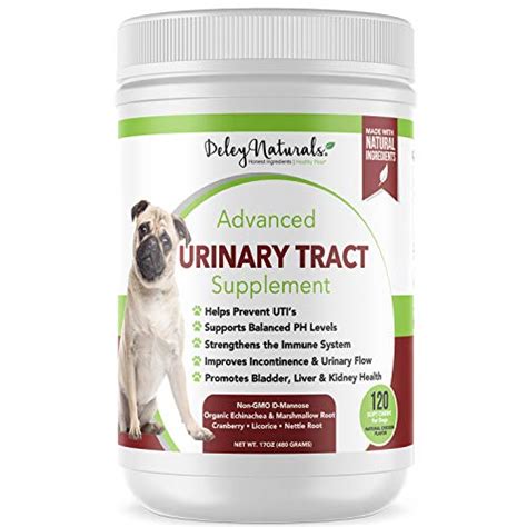 Top 10 best selling list for best supplement for dog uti prevention - Best Family Pets