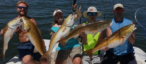 Biloxi Fishing Charters | Deep Sea Fishing Biloxi Gulfport MS | Inshore & Offshore