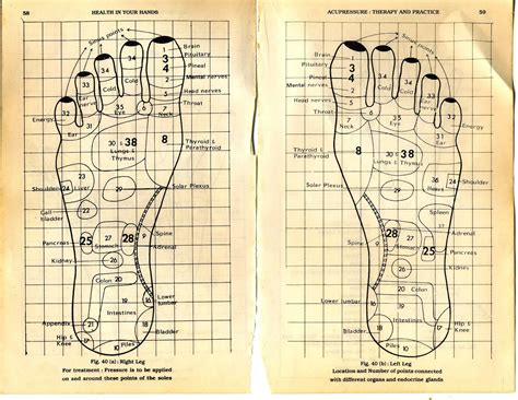 Foot Acupressure Points Chart