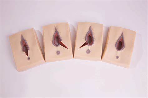 Episiotomy Suturing Trainers_Tellyes Scientific INC.