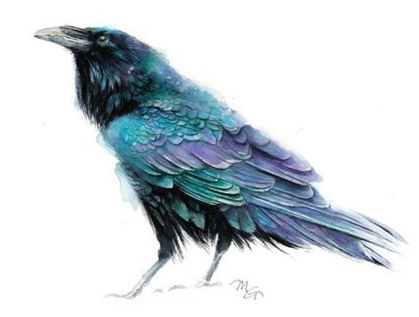 Raven III Art Print Watercolor Giclee Print. Raven - Etsy