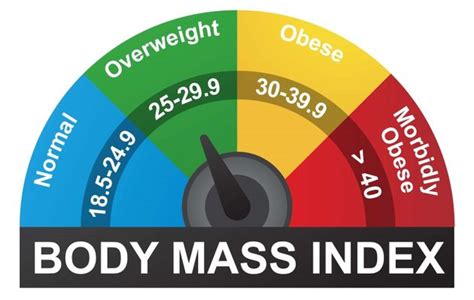 Your BMI Measurement | Zone Nutrition