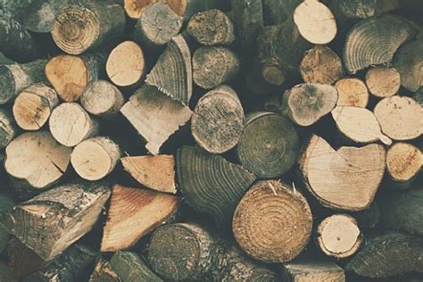 Your Guide to Sustainable Wood - UPLARN