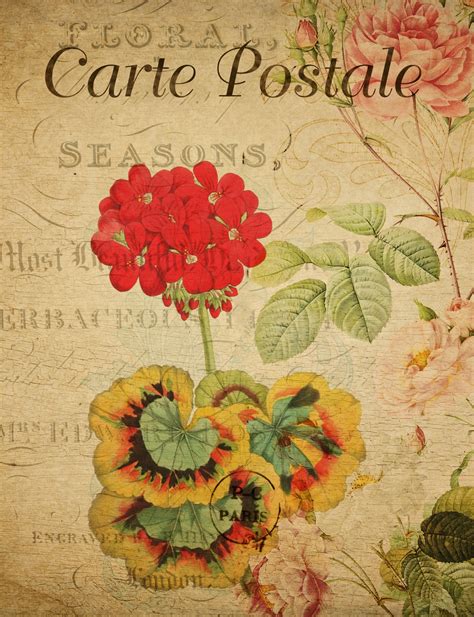 Red Flower Vintage Postcard Free Stock Photo - Public Domain Pictures