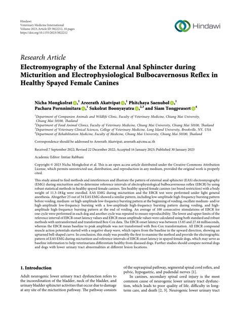 (PDF) Electromyography of the External Anal Sphincter during Micturition and ...