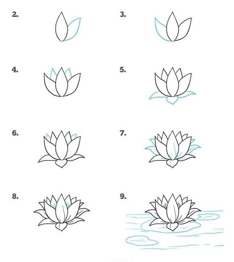 Easy Flower Drawing Tutorial