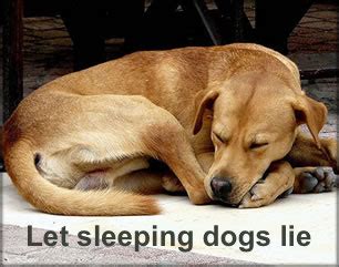 LET THE SLEEPING DOG LIE ...! WRITES GNS