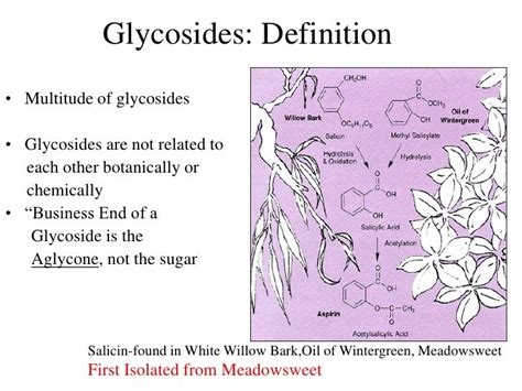 Glycosides by Ellen Kamhi PhD RN, The Natural Nurse