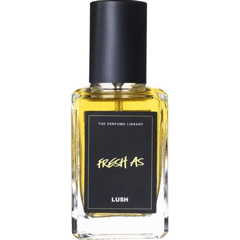 Lush Fresh As Perfume | Get a Sneak Peek at Lush’s 2021 Christmas Collection | POPSUGAR Beauty ...