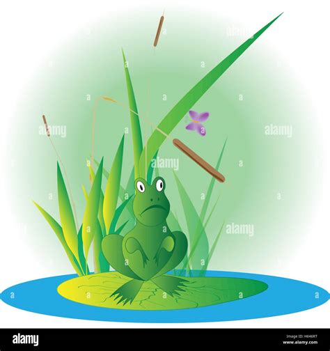 Frog vector graphics hi-res stock photography and images - Alamy