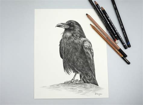 ORIGINAL Raven Bird Pencil Drawing Raven Wall Art Nature | Etsy