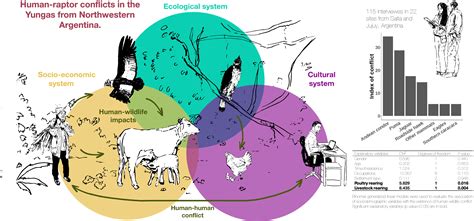 Animals | Free Full-Text | Human-Wildlife Conflicts in the Southern ...