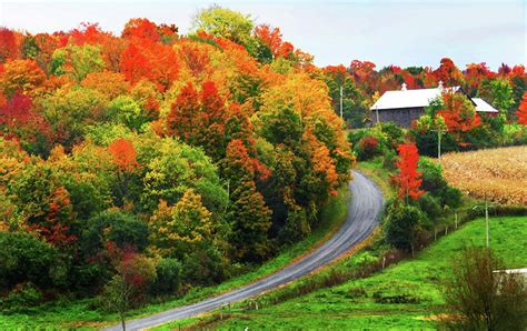 Fall Farm, Tug Hill Plateau, NY Photograph by Art Pundt | Pixels