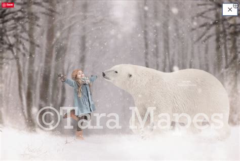 Polar Bear Snowy Scene Winter Digital Background Backdrop