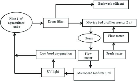 Schematic design of a recirculating aquaculture system. | Download ...