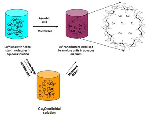 Schematic representation of synthesis of starch capped copper ...