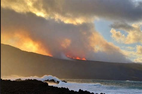 Cause of Maui Fire Revealed – True News Media