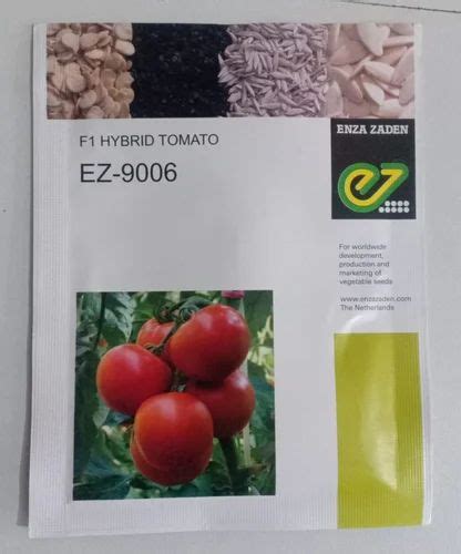 Green Enza Zaden 9006 Hybrid Tomato Seed, Packaging Type: Packet, Packaging Size: 10gm at Rs 350 ...