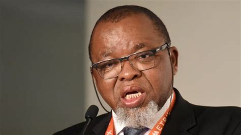 Gwede Mantashe, wife Nolwandle test positive for Covid-19 | News24