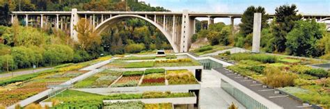 Why Green Roofs Are a Must-Have for Modern Cities - Greenroofs.com