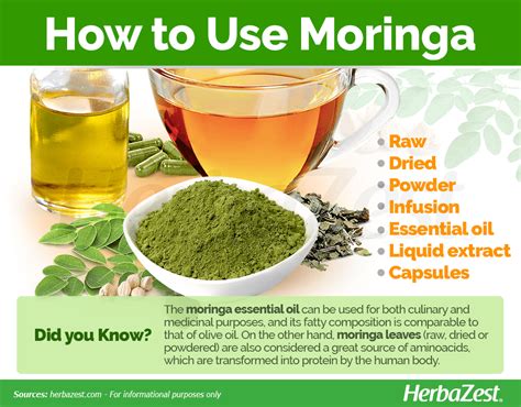 Moringa | HerbaZest