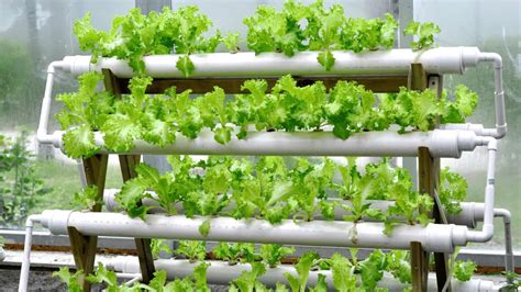 How Much Does Hydroponics Cost - $10 or $100'000?