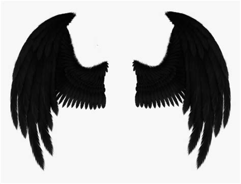 Drawing Fallen Angel Art - Drawing Black Angel Wings, HD Png Download , Transparent Png Image ...