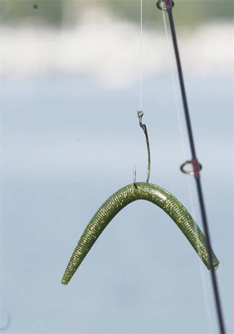 How To Fish A Wacky Worm From Shore - All Worms