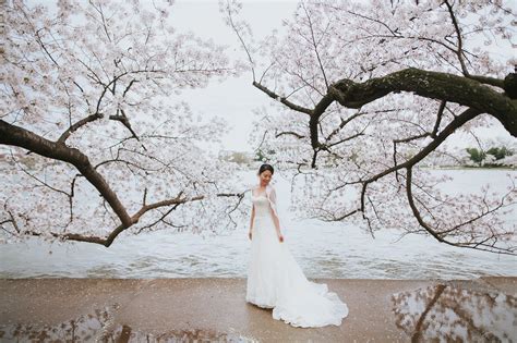 Cherry Blossom Wedding - Tidal Basin Washington DC Elopement